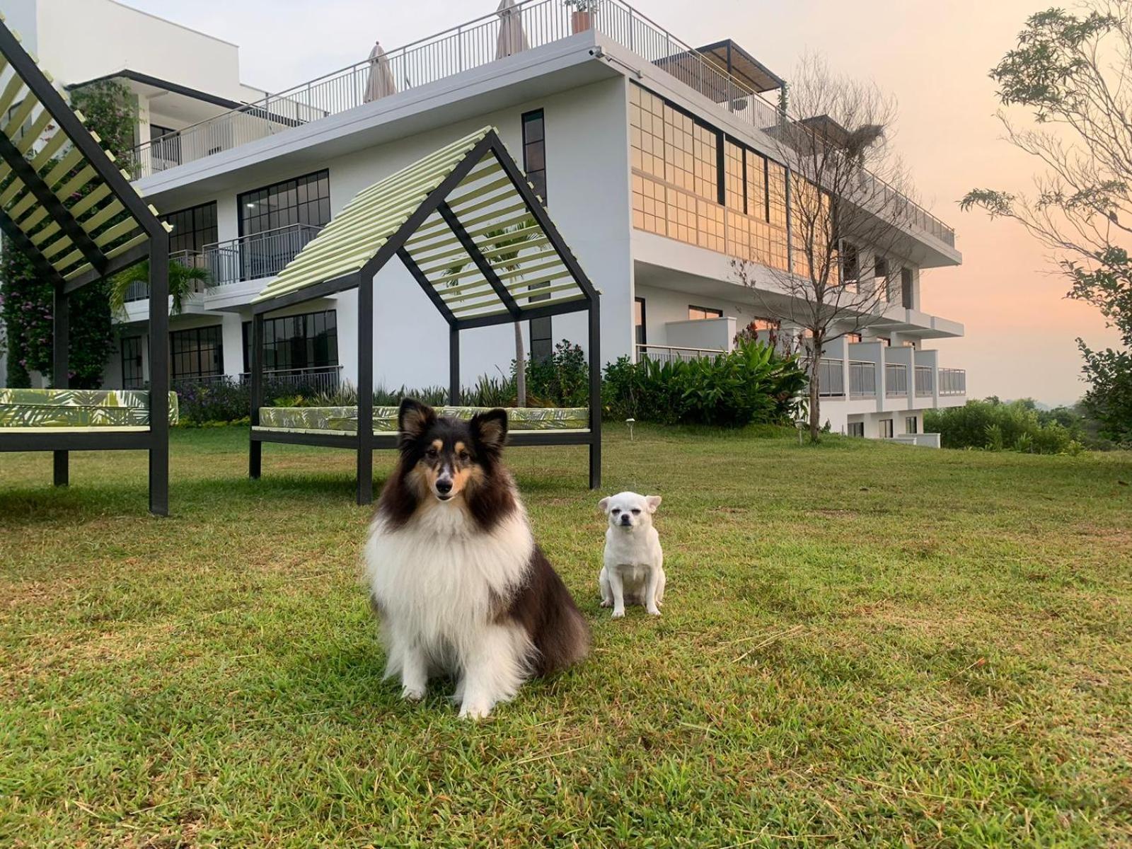 Hotel Arboreo Doradal Dış mekan fotoğraf